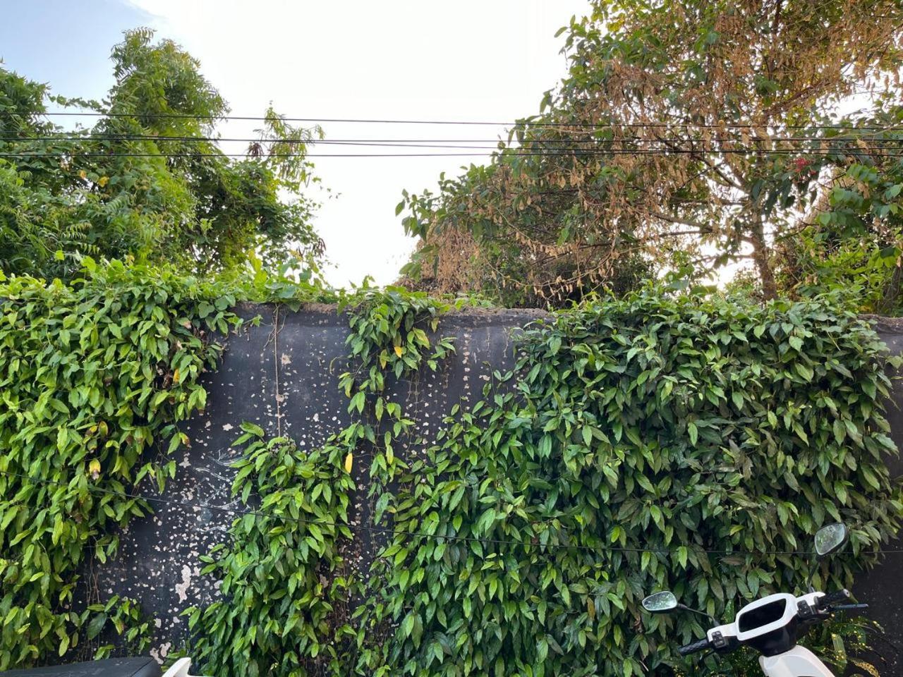 Nirman Homestay 5 Minutes Walk To Beach Puri Exteriör bild