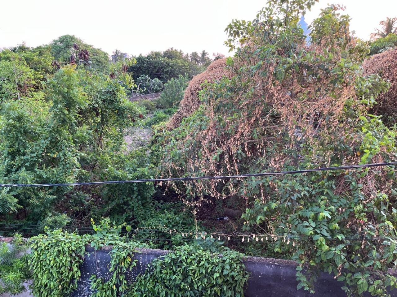 Nirman Homestay 5 Minutes Walk To Beach Puri Exteriör bild